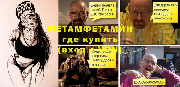 сатива Сатка