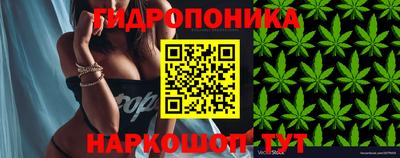 ГАЛЛЮЦИНОГЕННЫЕ ГРИБЫ Тулун