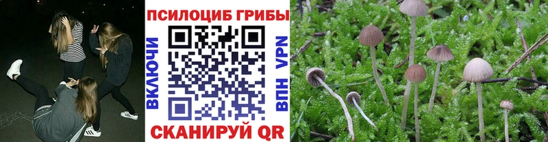 Галлюциногенные грибы Cubensis  наркошоп  Лобня 