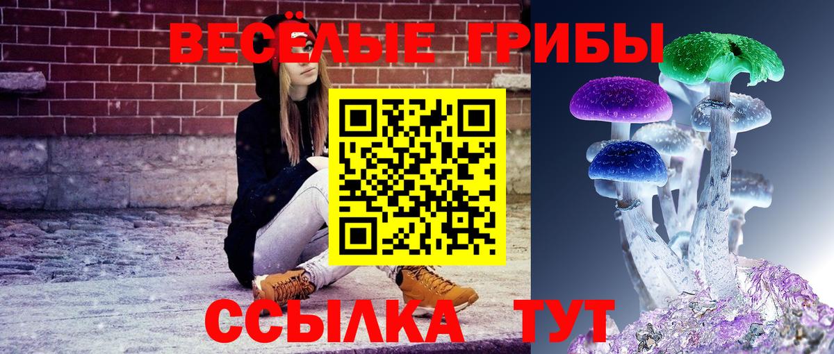 Галлюциногенные грибы GOLDEN TEACHER Лобня