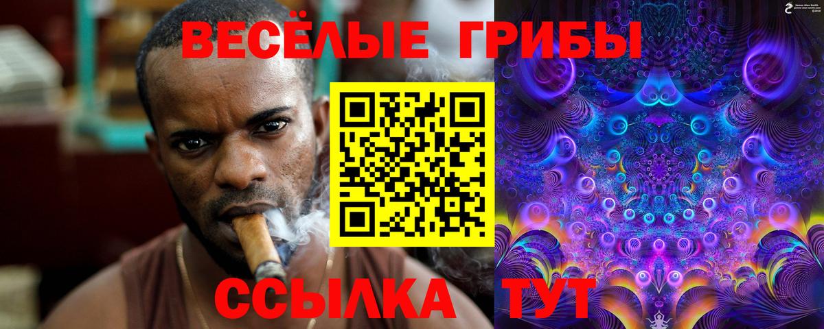 Галлюциногенные грибы GOLDEN TEACHER  Псилоцибиновые грибы ЛСД  Вход с VPN  Лобня 